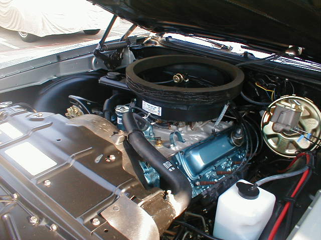 P1010075