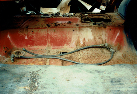 trunk